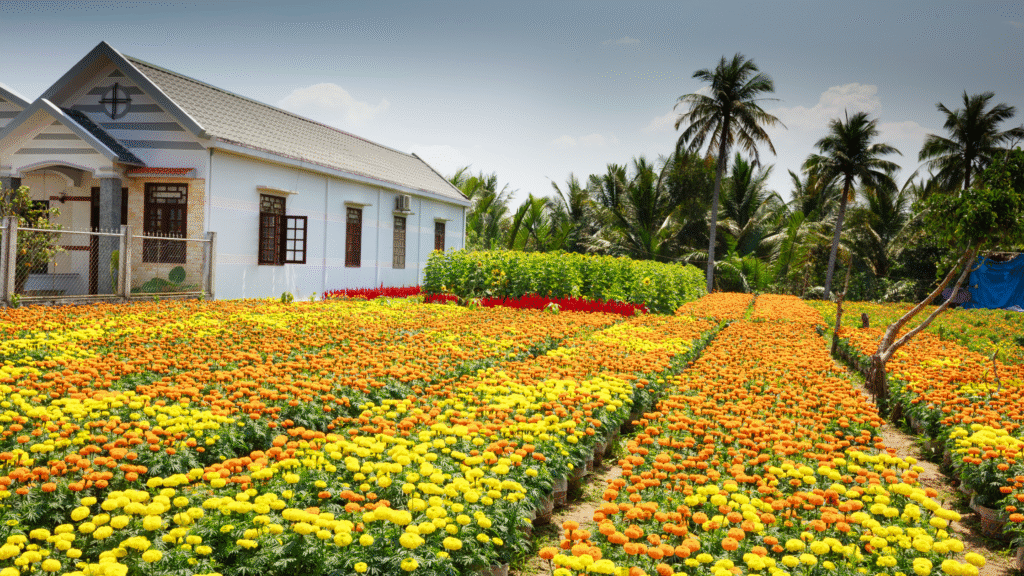Farmland plot investment for weekend farmhouse with ROI strategies in India