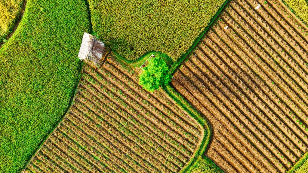 Farmhouse Investing in Hyderabad