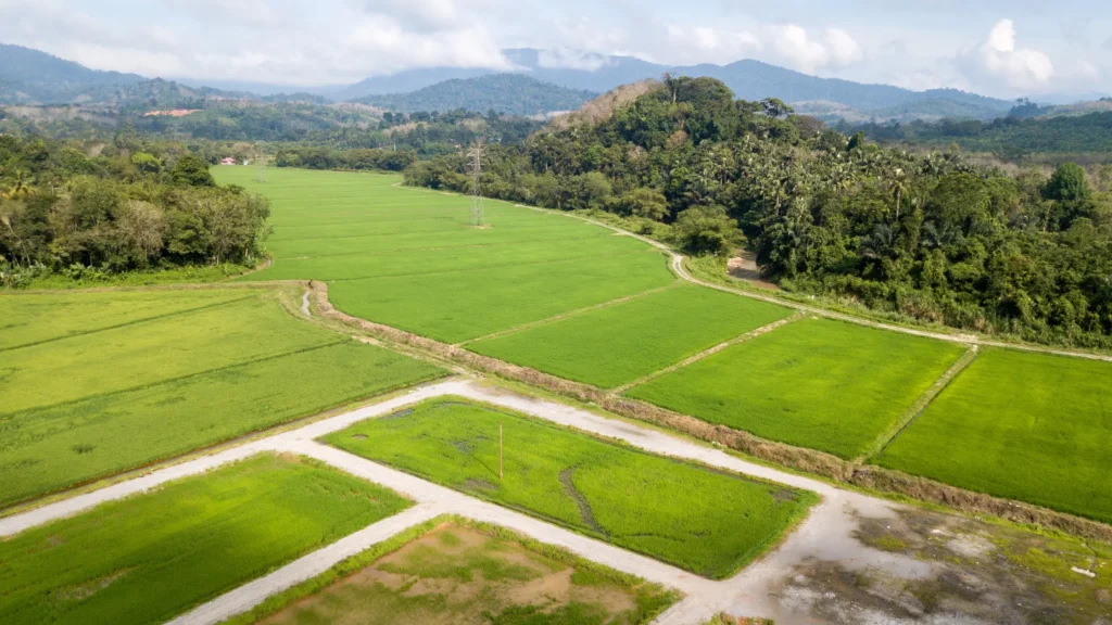 gmk sterling properties Sustainable Farmland boosting long-term portfolio value