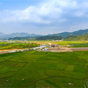 project-gellary-farmland